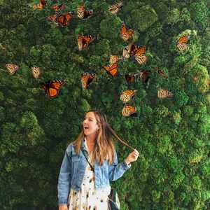 Meet your Posher, Kendall